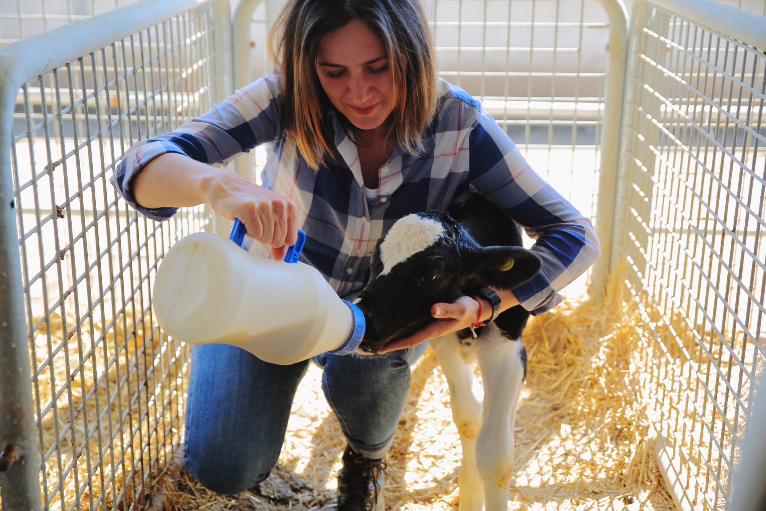 Dairy Industry Opportunities Dairy Jobs